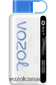 VOZOL STAR 9000/12000 20J0FJ22 - VOZOLl Vape Toronto BLUEBERRY STORM