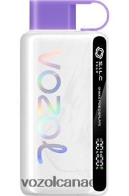 VOZOL STAR 9000/12000 20J0FJ24 - VOZOLl Vape Canada GRAPE ICE