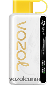 VOZOL STAR 9000/12000 20J0FJ25 - VOZOLl Vape Near Me KIWI PASSION FRUIT GUAVA