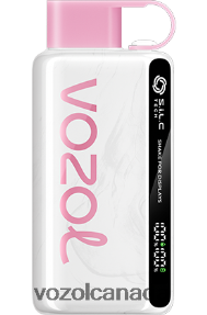 VOZOL STAR 9000/12000 20J0FJ27 - VOZOLl Vape Review PINK LEMONADE