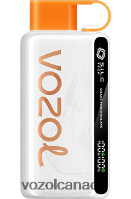 VOZOL STAR 9000/12000 20J0FJ28 - VOZOLl Vape Sale PEACH MANGO WATERMELON