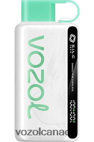 VOZOL STAR 9000/12000 20J0FJ34 - VOZOLl Vape Canada WATERMELON BUBBLE GUM