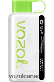 VOZOL STAR 9000/12000 20J0FJ37 - VOZOLl Vape Review CHERRY LIME