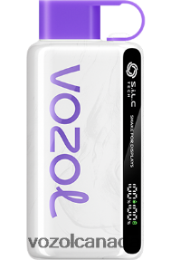 VOZOL STAR 9000/12000 20J0FJ39 - VOZOLl Vape Online CRANBERRY MANGO GRAPEFRUIT