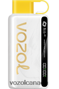 VOZOL STAR 9000/12000 20J0FJ46 - VOZOLl Vape Flavours PINEAPPLE COCONUT ICE