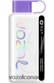 VOZOL STAR 9000/12000 20J0FJ47 - VOZOLl Vape Review RAINBOW CANDY