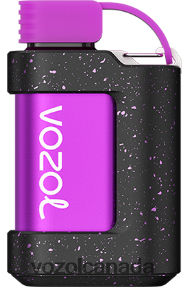 VOZOL GEAR 7000 20J0FJ340 - VOZOLl Vape Price PINK LENONADE