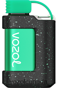 VOZOL GEAR 7000 20J0FJ344 - VOZOLl Vape Canada WATERMELON ICE