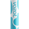 VOZOL JOYGO 600 20J0FJ377 - VOZOLl Vape Review BLUEBERRY SOUR RASPBERRY