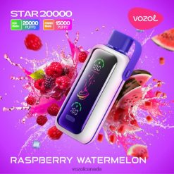 Vozol Vape Near Me RASPBERRY WATERMELON VXBH4619 VOZOL STAR 20000