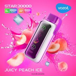 Vozol Vape Price JUICY PEACH ICE VXBH4610 VOZOL STAR 20000